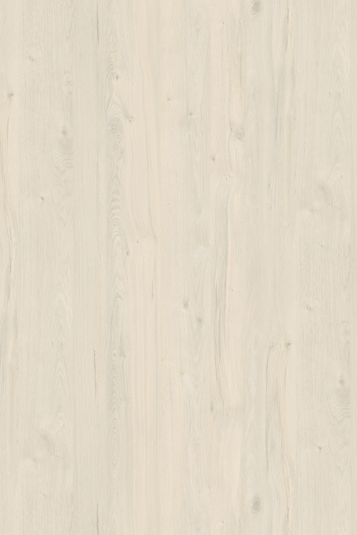 картинка Дуб Приморский Белый    К080  RW  16*2800*2070 от магазина DFCH 