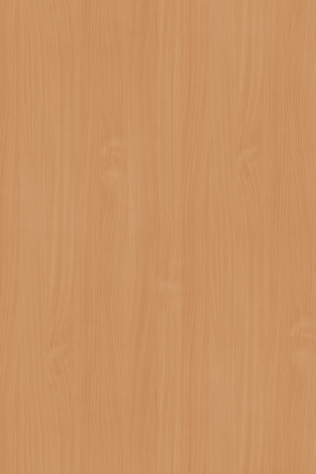 картинка Бук 0381 PR  16*2800*2070 от магазина DFCH 