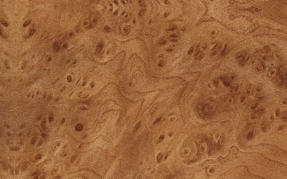 картинка Столешница(ДСП, R1, 3 000, 600, 38, 167, мт) Корень Вяза от магазина DFCH 